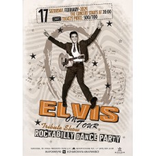 Концерт трибьют шоу ELVIS on Tour (2024-02-17)