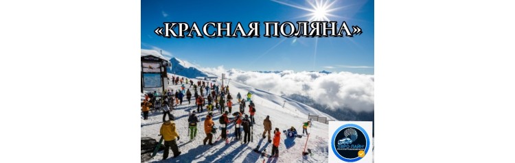 ТРАНСФЕР МОСКВАКРАСНАЯ ПОЛЯНАМОСКВА (2024-02-13)