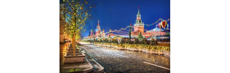 Новогодняя Москва обзорная автобусная экскурсия 31 декабря (2025-12-31)