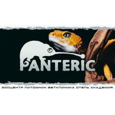 Гекконы Эублефар и Бананоед Знакомство с рептилией (2025-10-18)