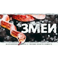 Змеи Знакомство с рептилией (2026-03-29) Змеи Знакомство с рептилией (2026-03-29)