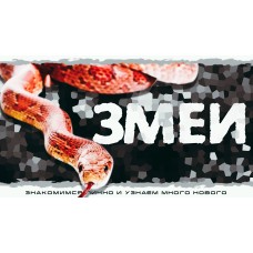 Змеи Знакомство с рептилией (2025-10-26)