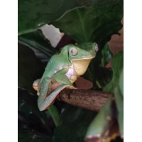 Ночная экскурсия6 в Зооцентре Экзотических животных Пантерик (2026-03-20) Ночная экскурсия6 в Зооцентре Экзотических животных Пантерик (2026-03-20)