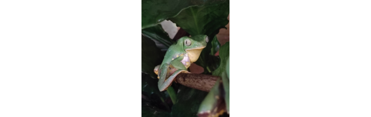 Ночная экскурсия6 в Зооцентре Экзотических животных Пантерик (2025-12-12)