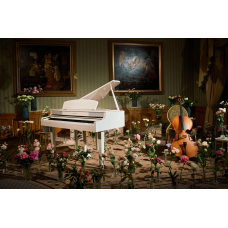 ВЦВЕТАХ Шедевры классики в Отеле Националь (2026-03-29)