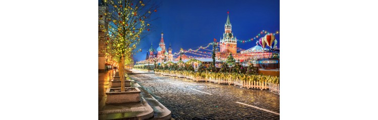 Новогодняя Москва автобусная обзорная экскурсия (2026-01-01)