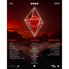 Asylum x Bloom x DiskoNoir (2025-11-14)
