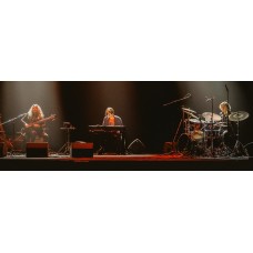 CHRISTIAN GLVEZ ORGAN TRIO ЧИЛИ (2025-11-17)