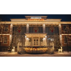 Новогодняя ночь 2026 в банкетном зале Государь (2025-12-31)